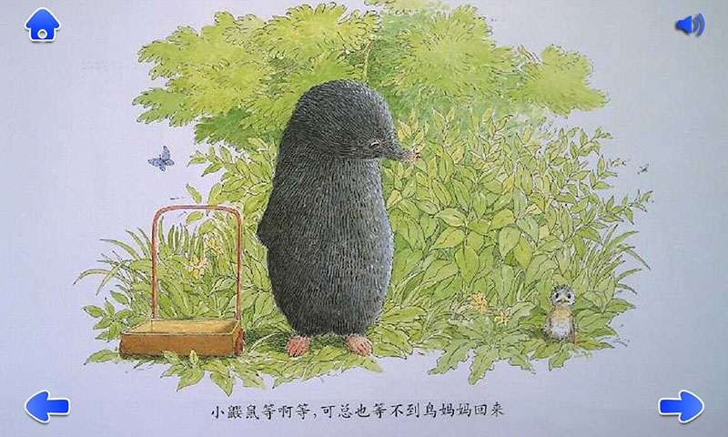 鼹鼠与小鸟